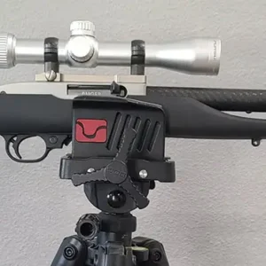 Ruger 10/22 Semi-Auto .22LR Rifle